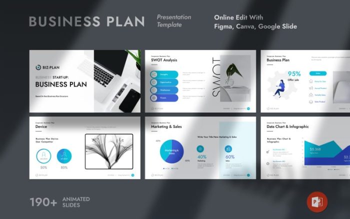 Business Plan Presentation Template