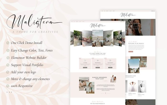 Malistena - Blog & Photographer WP Theme Elementor