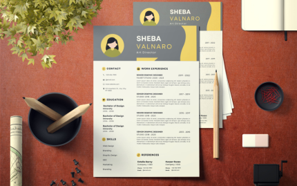 Modern Professional CV Resume