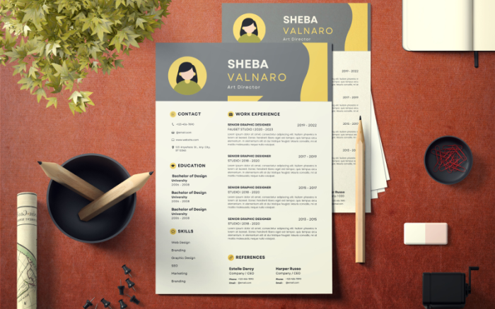 Modern Professional CV Resume